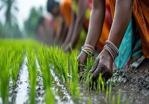CPSEs to anchor CSR push in PM Dhan Dhaanya districts, DPE outlines two-year roadmap